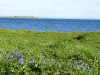 Pladda lighthouse