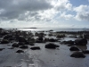 Ailsa Craig and Pladda